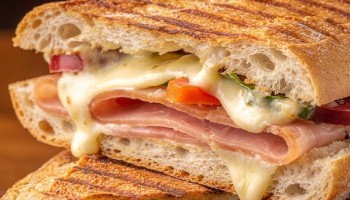 PANINIS